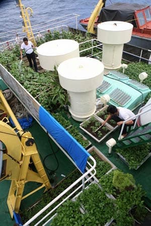 Đón xuân nơi đầu sóng