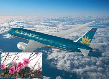 Vietnam Airlines vận chuyển cành đào, mai dịp Tết Canh Dần