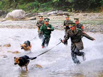 “Đoàn viên Cầu Treo”