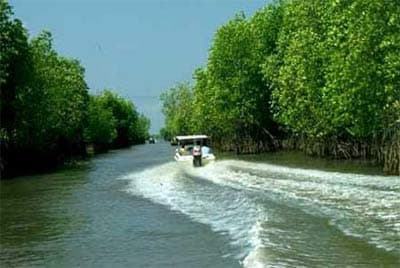 Mênh mang sông nước Cà Mau