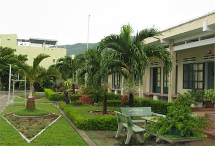 5 năm vận chuyển an toàn