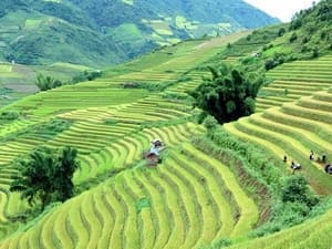 Sắp phát sóng kênh truyền hình du lịch Việt Nam