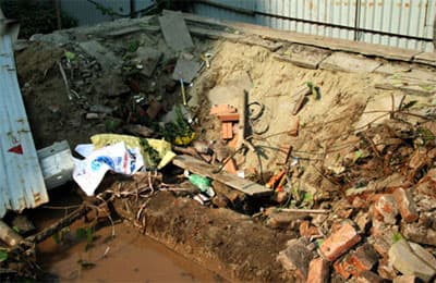 Cây bồ đề trăm tuổi tại chợ 19-12 bị “bứng”
