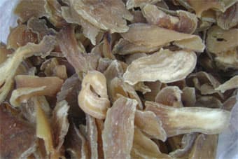 Ngọt bùi ở đất cù lao