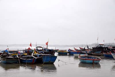 Bão lặng, thuyền lại ra khơi…