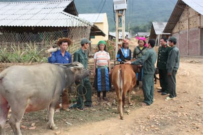 Xoá 18 thôn trắng đảng viên
