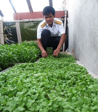 “Đặc sản” rau mầm