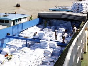“Con Hổ châu Á” của thế kỷ 21