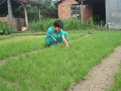 Giúp người tàn tật không phải sống khổ