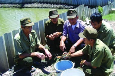 Ngày của cha