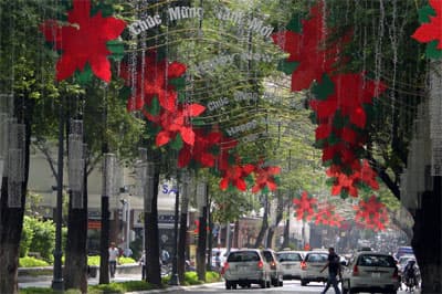 Sắc hoa của lòng người