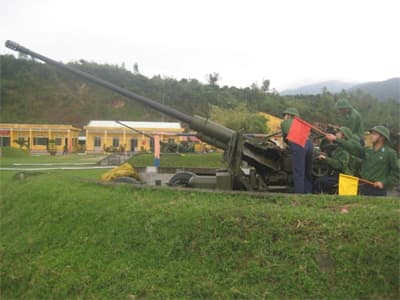 Mai vàng trên trận địa Sơn Trà