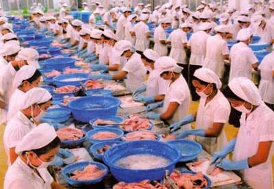WWF vì lợi ích riêng?