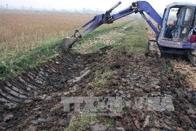 Cấp bách chống hạn