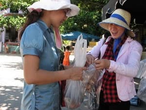 Mùa Xuân đến sớm trên đảo Cù Lao Chàm