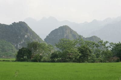 Sắc xuân Mường Động