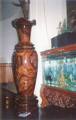 Lộc bình cổ súy... phá rừng