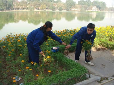 Những người làm đẹp thành phố