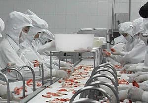 Xuất khẩu năm 2010: Còn nhiều thách thức