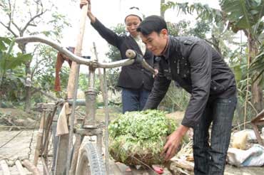 Giấc mơ trên miền cát trắng