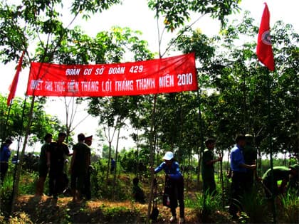 Tháng Thanh niên ở Đoàn Đặc công B29