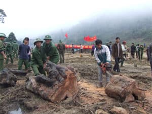 Đảm nhiệm 15.000 công trình, phần việc với tổng trị giá hơn 30 tỉ đồng