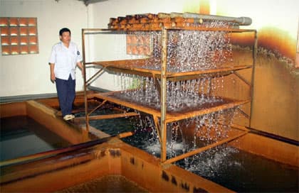 Thừa triều cường, thiếu nước sinh hoạt