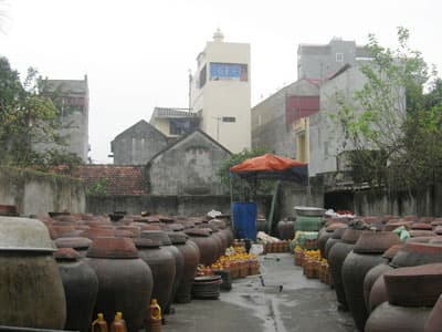Tương Bần quê tôi