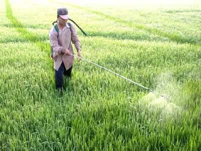 Tăng cường tuyên truyền về hoạt động sản xuất và đời sống của nông dân