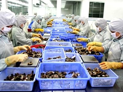 Bảy cấp của hệ thống ngành sản phẩm Việt Nam