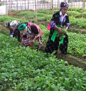 Nhờ công bộ đội