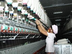 Việt Nam-EU thúc đẩy hợp tác thương mại-đầu tư