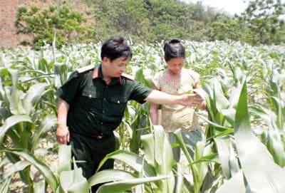 Tạm biệt Cam Lâm, Thạch Ngàn vẫy gọi