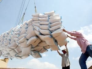5 tháng: Xuất khẩu nông, lâm, thủy sản đạt 7,2 tỷ USD