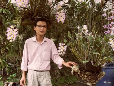Làm giàu từ lan rừng