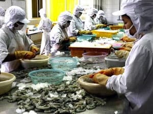 Nhiều ngành sản xuất đang lo thiếu nguyên liệu