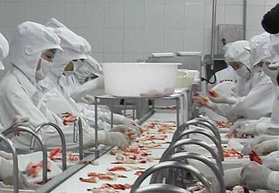 Thủy sản đông lạnh Việt Nam chiếm vị trí số 1 ở Mexico