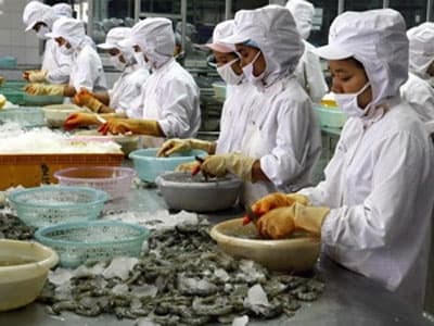 WTO chỉ định Ban hội thẩm vụ kiện tôm Việt Nam