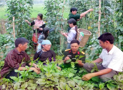 Sức sống nơi biên giới