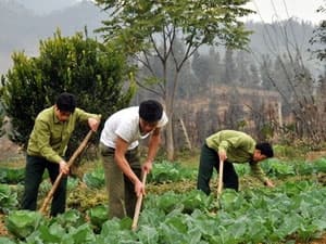 Thư của Chủ tịch nước gửi cán bộ, chiến sĩ, QNCN, công nhân viên chức, lao động quốc phòng Ngành Hậu cần Quân đội