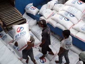 Việt Nam đủ gạo cung ứng cho xuất khẩu và nội địa