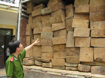 Bắt xe tải chở gần 20m3 khối gỗ quý