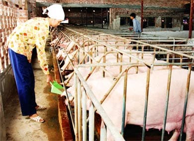 Vẫn “giậm chân tại chỗ”
