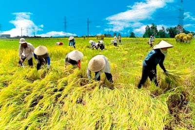 Cơ hội cho xuất khẩu