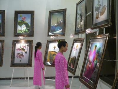 Chụp ảnh hoa sen để làm từ thiện
