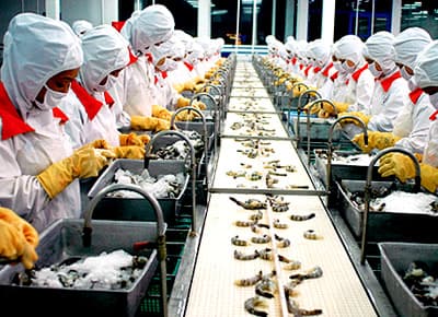 Mỹ tăng thuế chống bán phá giá với tôm Việt Nam