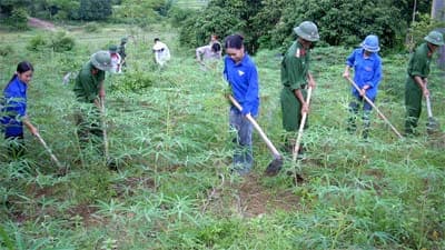 Tiếp nhận trí thức trẻ tình nguyện giai đoạn 2010- 2012