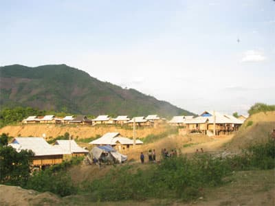 “Hoa ban trắng” bây giờ ở đâu?