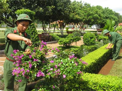 Đánh thức tiềm năng của đất