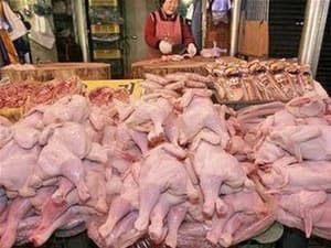 Hàn Quốc xác nhận dịch cúm gia cầm H5N1 tái phát